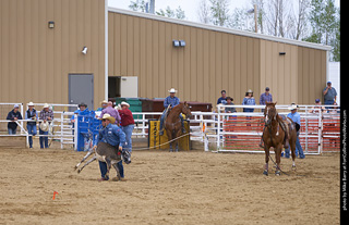 Never Summer Rodeo - Tie Down Roping