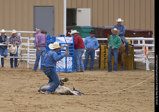 Never Summer Rodeo - Tie Down Roping