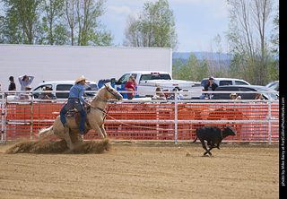 Never Summer Rodeo - Tie Down Roping