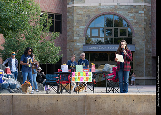 Tour de Corgi - Costume Contest