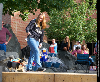 Tour de Corgi - Costume Contest