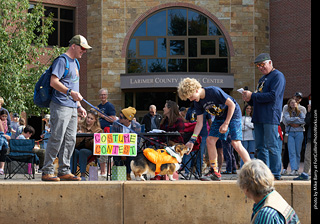 Tour de Corgi - Costume Contest