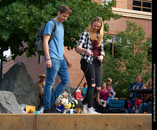 Tour de Corgi - Costume Contest