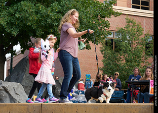 Tour de Corgi - Costume Contest