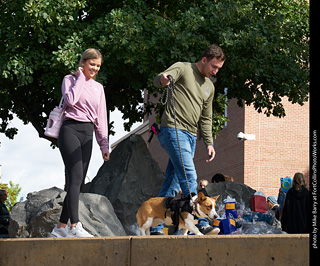 Tour de Corgi - Costume Contest