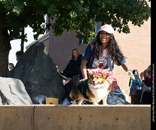 Tour de Corgi - Costume Contest