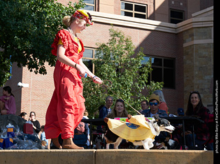 Tour de Corgi - Costume Contest