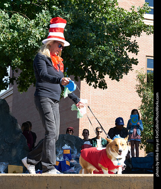 Tour de Corgi - Costume Contest