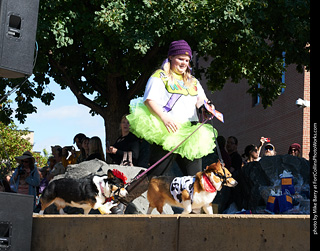 Tour de Corgi - Costume Contest