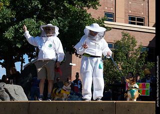 Tour de Corgi - Costume Contest