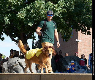 Tour de Corgi - Costume Contest