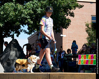 Tour de Corgi - Costume Contest