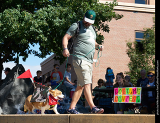 Tour de Corgi - Costume Contest