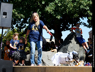 Tour de Corgi - Costume Contest