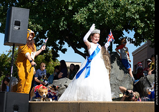 Tour de Corgi - Costume Contest