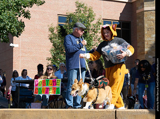 Tour de Corgi - Costume Contest