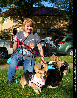 Tour de Corgi - meet up
