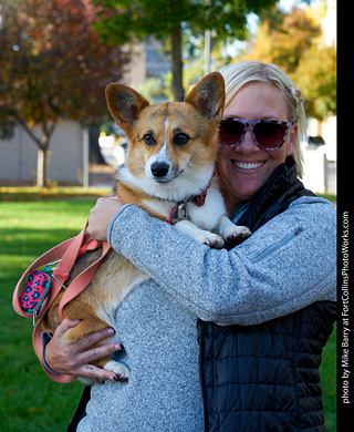 Tour de Corgi - meet up