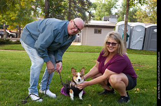 Tour de Corgi - meet up