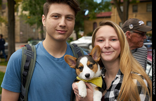 Tour de Corgi - meet up