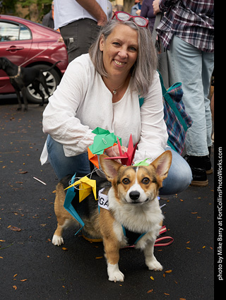 Tour de Corgi - meet up