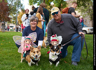 Tour de Corgi - meet up