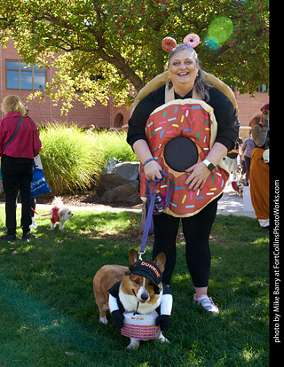 Tour de Corgi - meet up