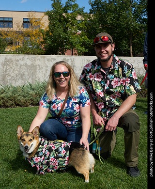 Tour de Corgi - meet up