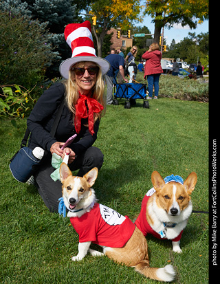 Tour de Corgi - meet up