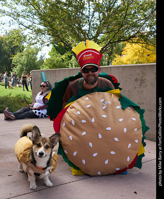 Tour de Corgi - meet up