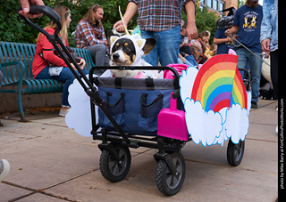 Tour de Corgi - Parade