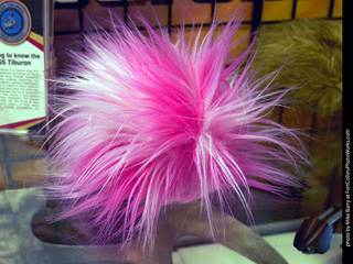 Wicked West Comic Expo 2023