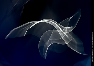 Intentional Camera Movement Photography