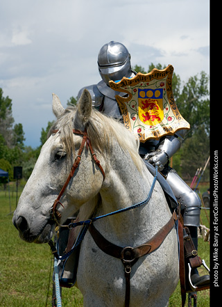 CMF 2023 - Knights of Mayhem