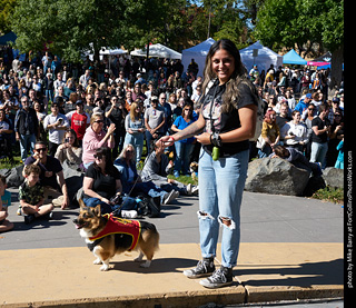 Tour de Corgi 2023