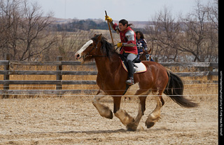 Order of Epona