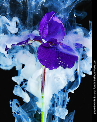 Submerged Flowers and Acrylic Paint