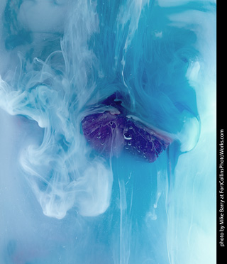 Submerged Flowers and Acrylic Paint