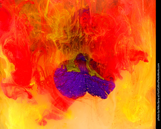 Submerged Flowers and Acrylic Paint