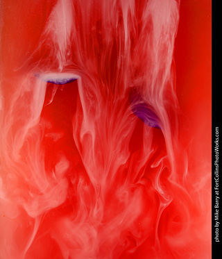 Submerged Flowers and Acrylic Paint