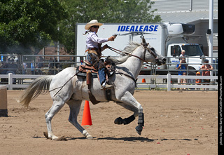 Regulators at the Larimer County Fair 2024