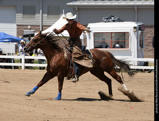 Regulators at the Larimer County Fair 2024