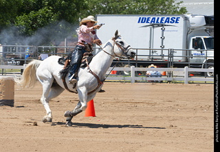 Regulators at the Larimer County Fair 2024