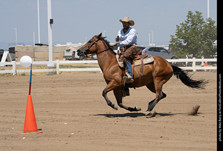 Regulators at the Larimer County Fair 2024