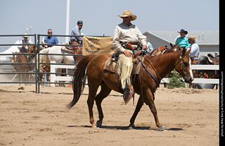 Regulators at the Larimer County Fair 2024