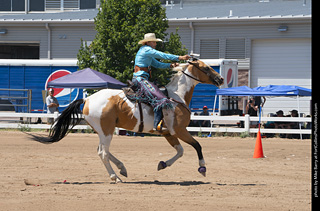 Regulators at the Larimer County Fair 2024
