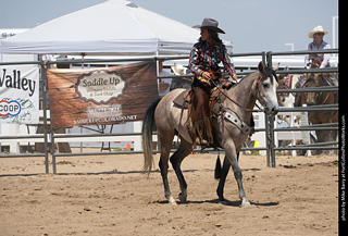 Regulators at the Larimer County Fair 2024