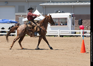 Regulators at the Larimer County Fair 2024