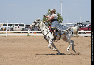 Regulators at the Larimer County Fair 2024