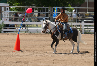 Regulators at the Larimer County Fair 2024